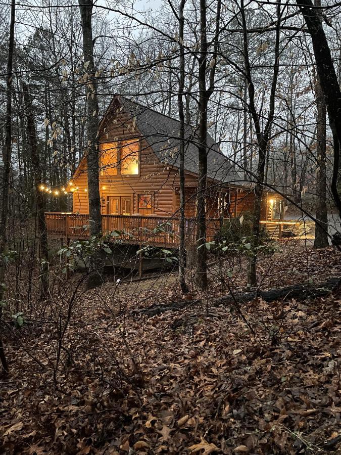 Great Smoky Mountains Cabin!, Secluded, Pet-Kid Friendly! セバービル エクステリア 写真
